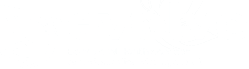Evolve Behavioral Health Services