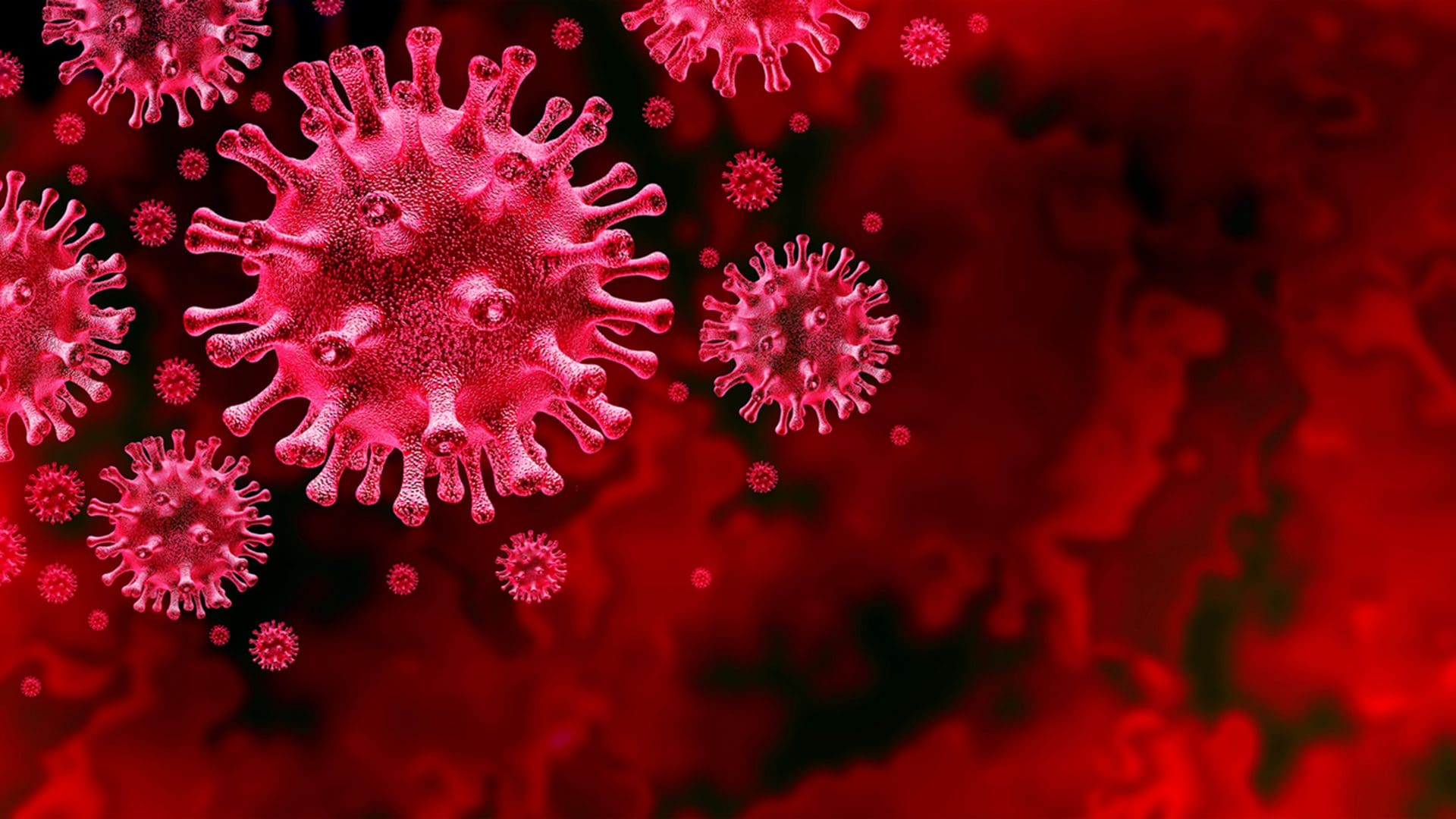 An image of the COVID-19 virus cells.